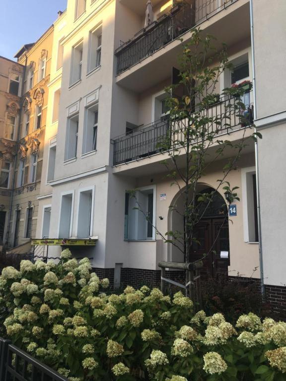 Kazia Apartment In My Center Szczecin Extérieur photo